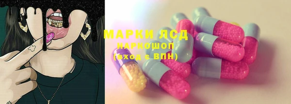 крисы Аркадак