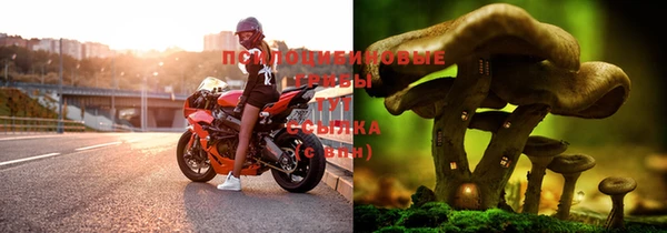 гашишное масло Арсеньев