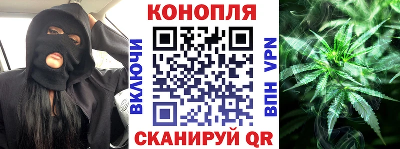 ОМГ ОМГ как войти  Балей  Бошки Шишки семена 